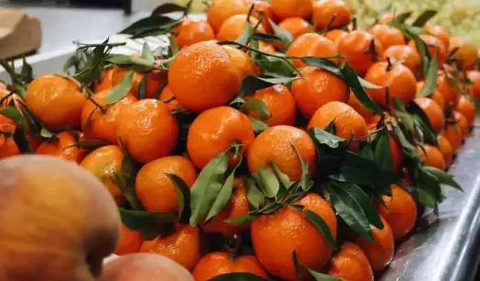 Europa wil strengere regels voor import citrusfruit uit Marokko