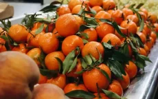 Europa wil strengere regels voor import citrusfruit uit Marokko