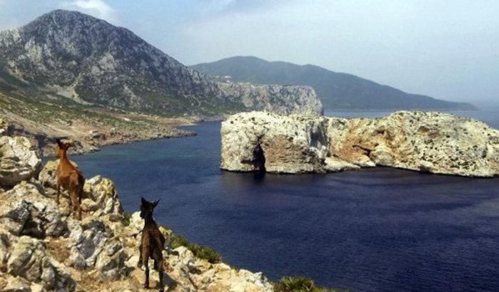 Guardia Civil naar Eiland Leila voor... geiten