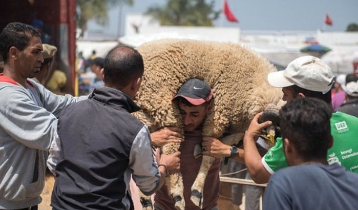 Eid ul-Adha dit jaar afgelast in Marokko?