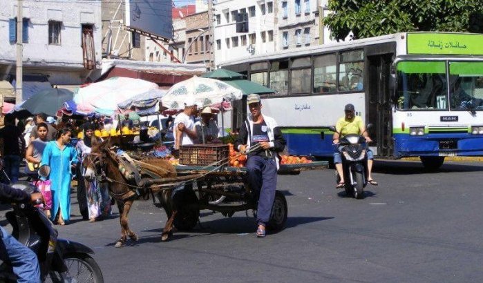 Straatverkopers: woede neemt toe in Casablanca