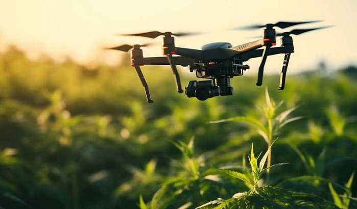 Drones controleren cannabisvelden in Taounate