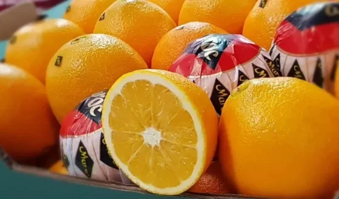 Marokkaanse citrusvruchten voor het eerst naar Japan!