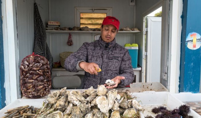 Oualidia, oesterparadijs aan de Marokkaanse kust