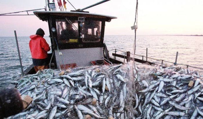 Spaanse vissers in oorlog met Marokkaanse vis