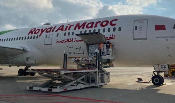 Honderden kakkerlakken op vlucht Royal Air Maroc