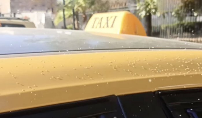 Muggenplaag teistert taxistandplaats in Marrakech (video)