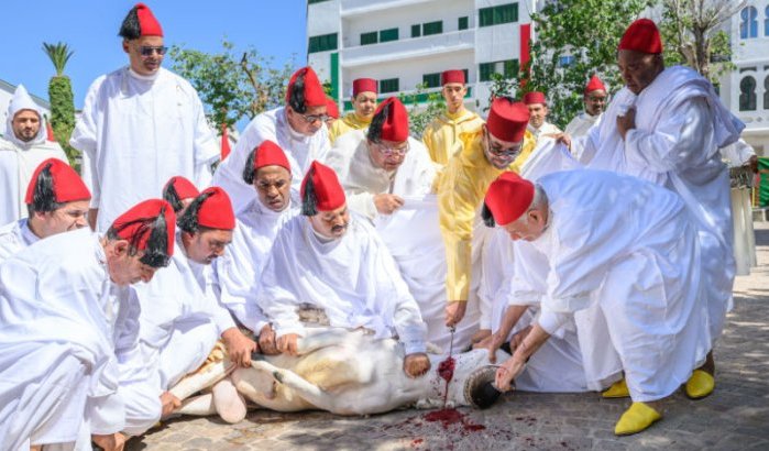 Koning Mohammed VI in moskee Tetouan (video)