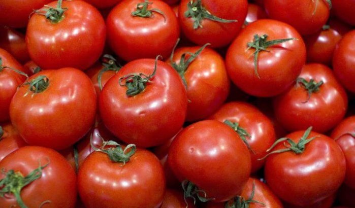 Oneerlijke concurrentie: Egypte dumpt tomaten in Marokko