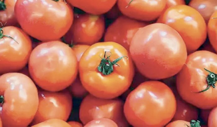 Marokko legt sancties op aan Egyptische tomaten