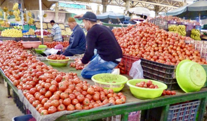 Marokkanen woedend, tomaten onbetaalbaar