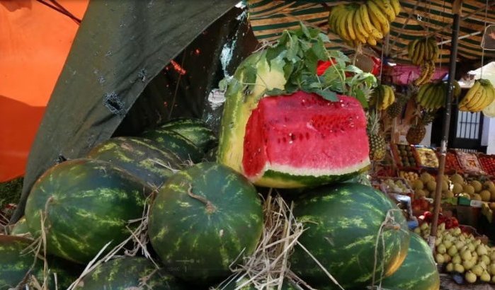 Watermeloenen verdwijnen uit Zagora