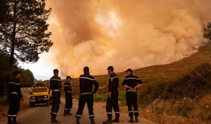 Bosbrand in Al Hoceima na 4 dagen onder controle