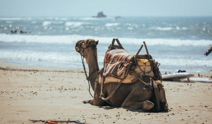 Agadir, magneet voor Europese gepensioneerden