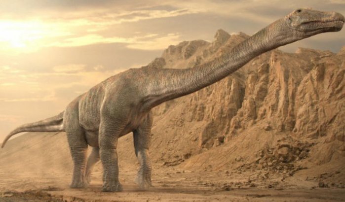 Nieuwe studie: Marokkaanse Sahara oorsprong dinosauriërs