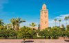 Kruistocht tegen palmbomen in Marokko