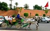 Paardenkoetsen weg van Djemaa el Fna-plein