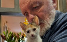 Anthony Hopkins viert Kattendag met knuffelkat in Marokko