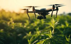 Drones controleren cannabisvelden in Taounate