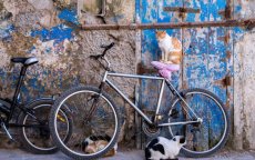 Marokko wil Nederland volgen: meer wandelen en fietsen