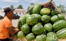 Marokko stopt productie watermeloen 