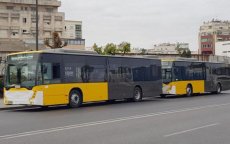 Botsing tussen lijnbussen in Casablanca, tientallen gewonden