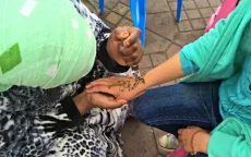 Oplichting in Marrakech: 1200 dirham voor henna-tattoo