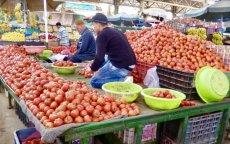 Marokkanen woedend, tomaten onbetaalbaar