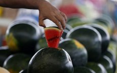 Dertien mensen in ziekenhuis na eten watermeloen in Taounate