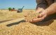 Marokko bij zes grootste tarwe-importeurs ter wereld